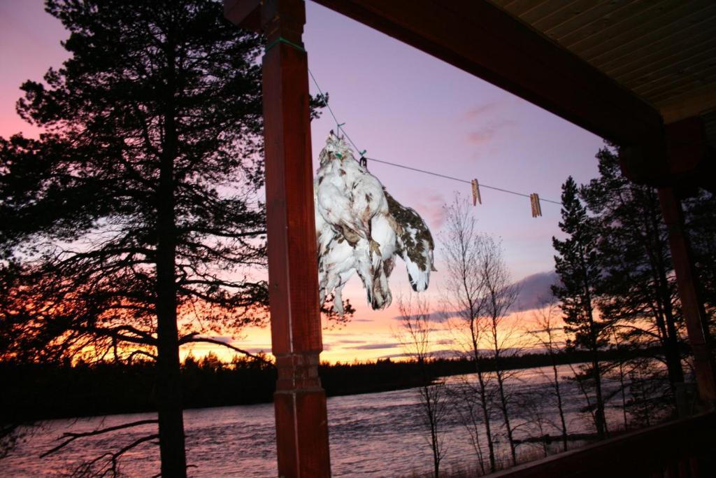 Luongasloma Chalets Palojoensuu Chambre photo